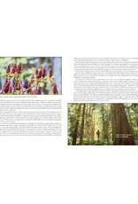 The Prepper's Guide to Foraging