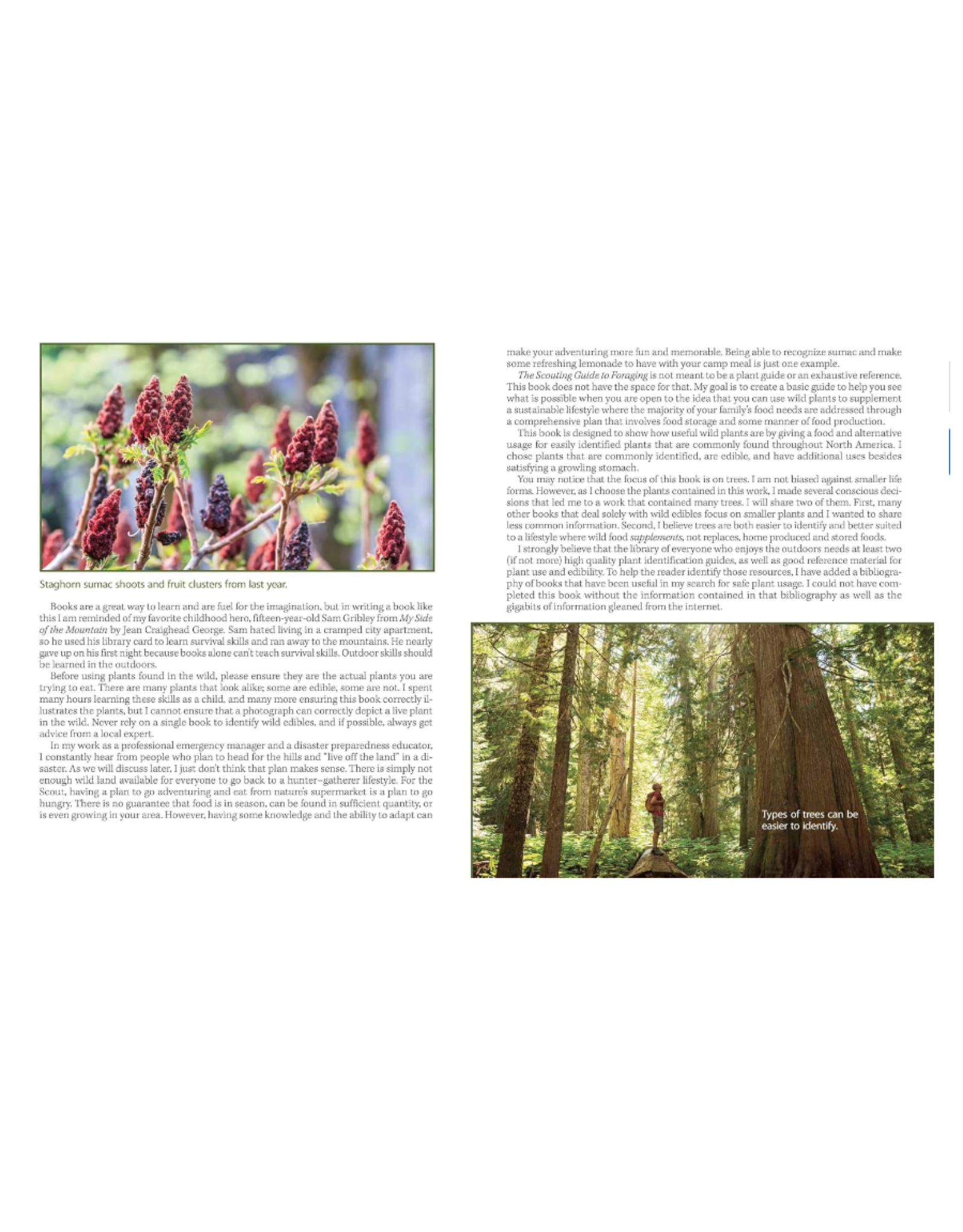 The Prepper's Guide to Foraging