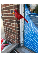 Cardinal On Stake - Curbside pickup only!