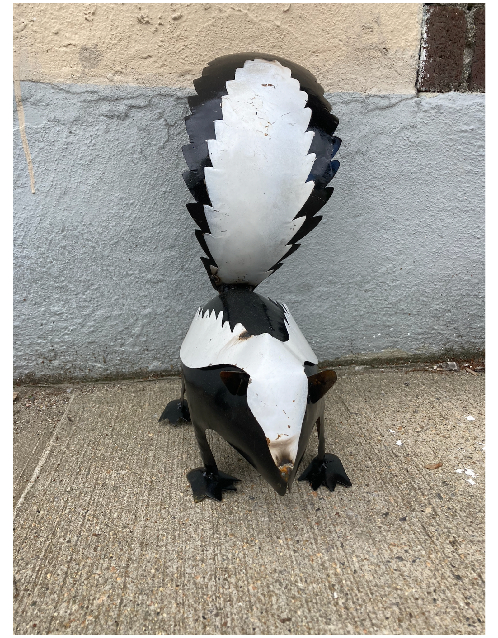 Skunk - Medium - Curbside Pick Up Only!