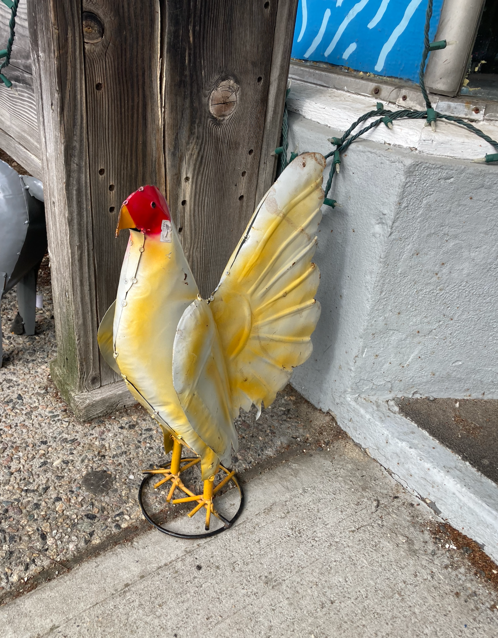 White Rooster - Curbside Pick Up Only!