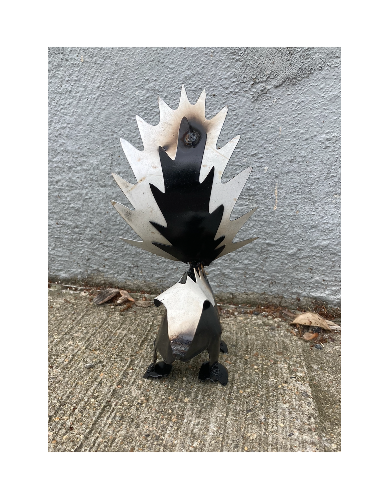 Skunk - Mini