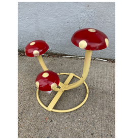 Wacky Mushrooms - Small - curbside pick up only!