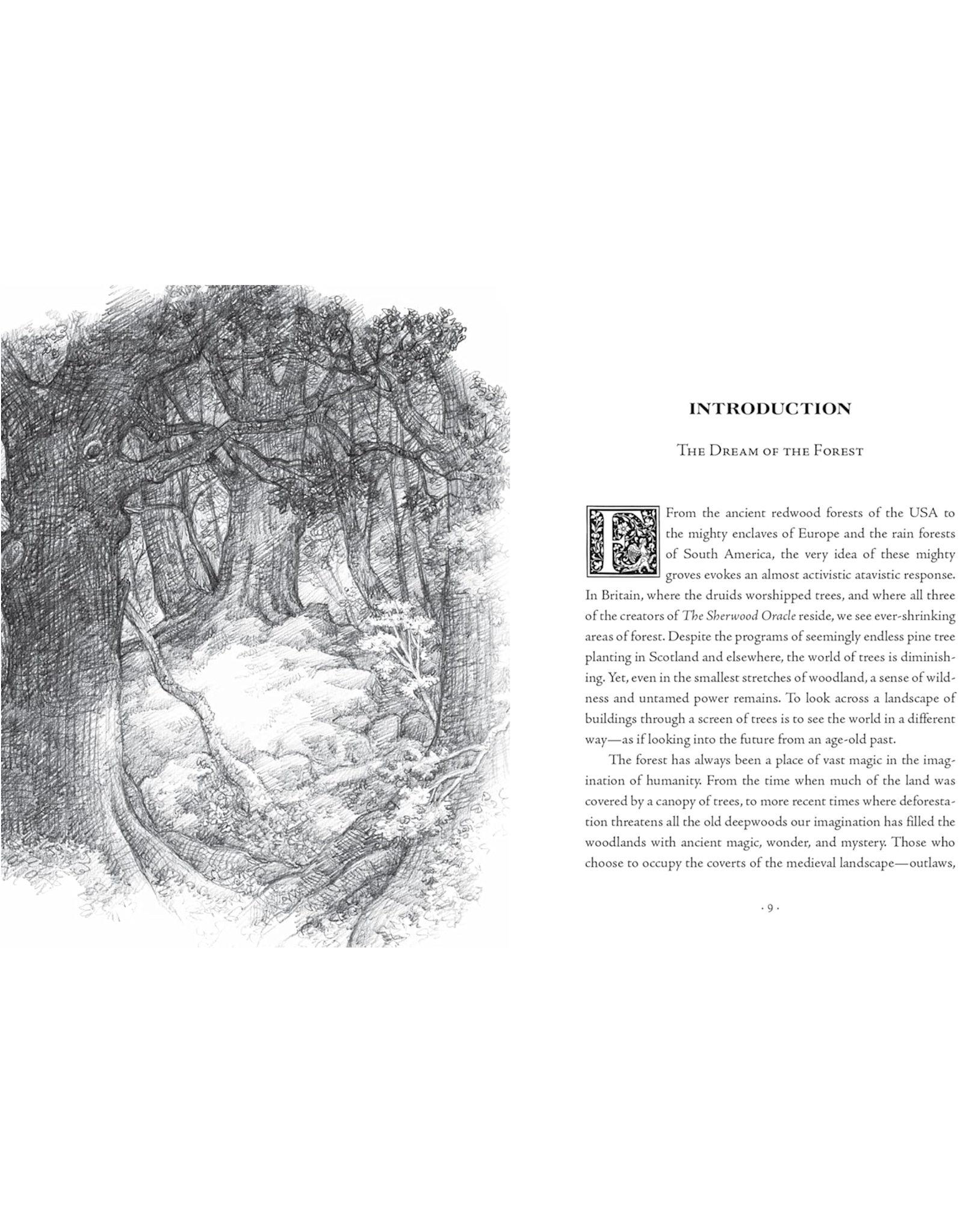 The Sherwood Oracle