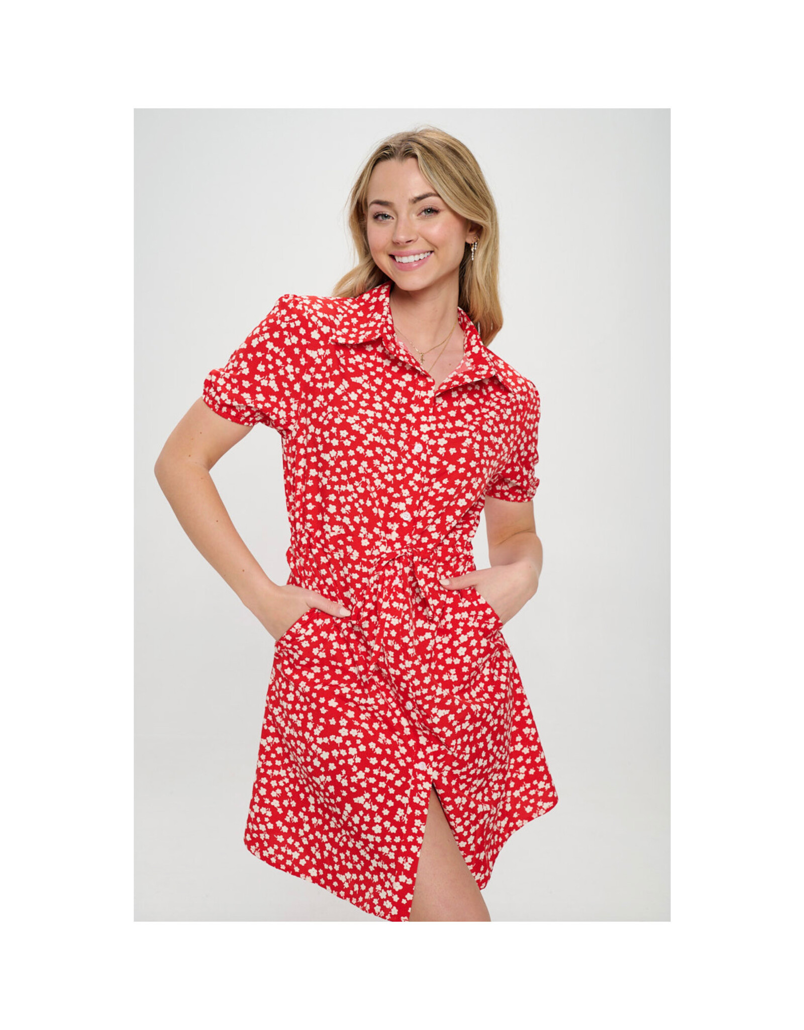 Poppy Button Up Dress