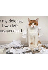 In My Defense I Was Left Unsupervised Cat Magnet