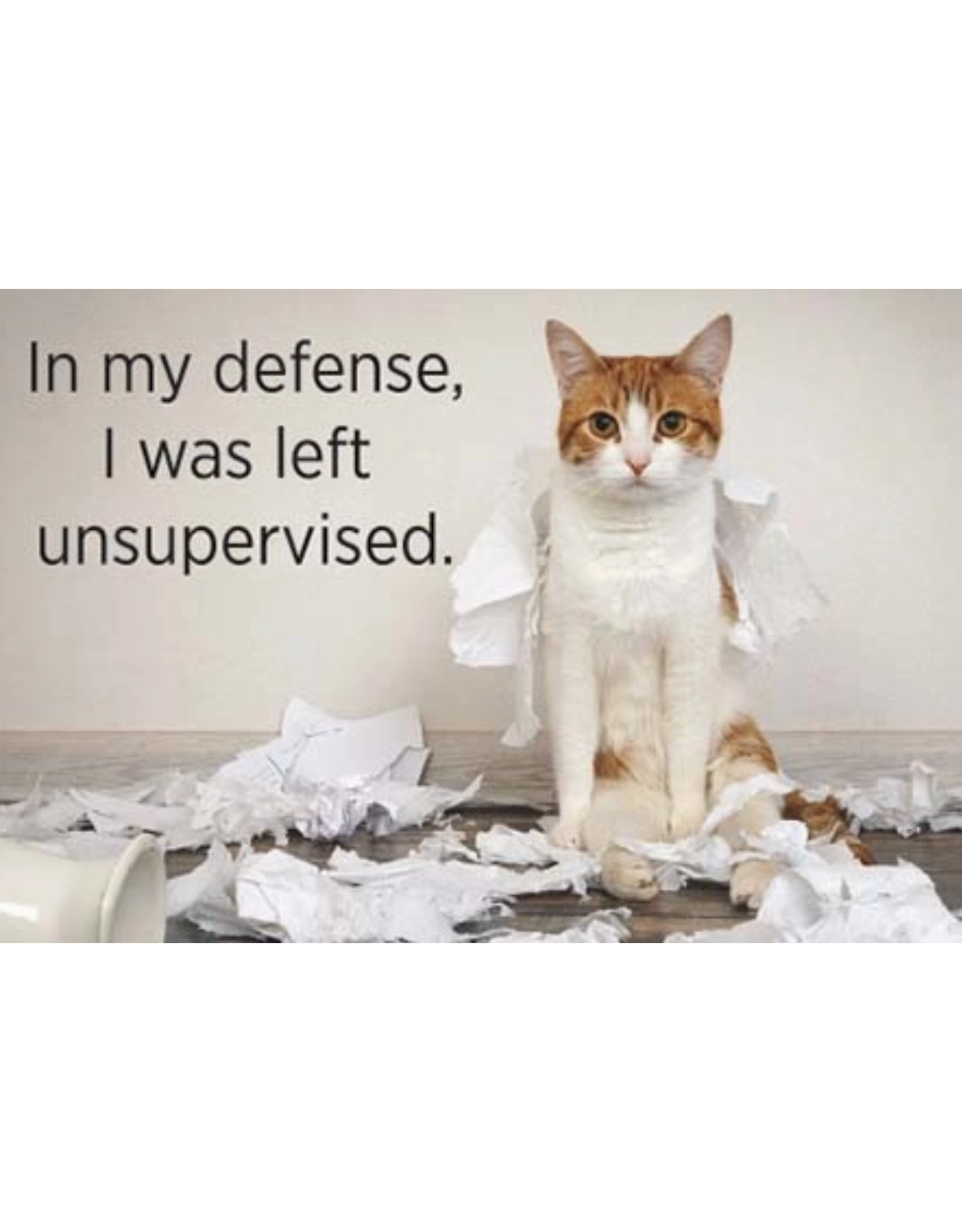 In My Defense I Was Left Unsupervised Cat Magnet