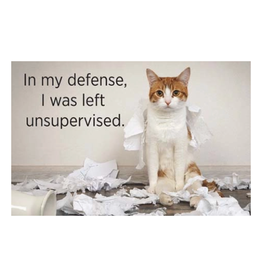 In My Defense I Was Left Unsupervised Cat Magnet