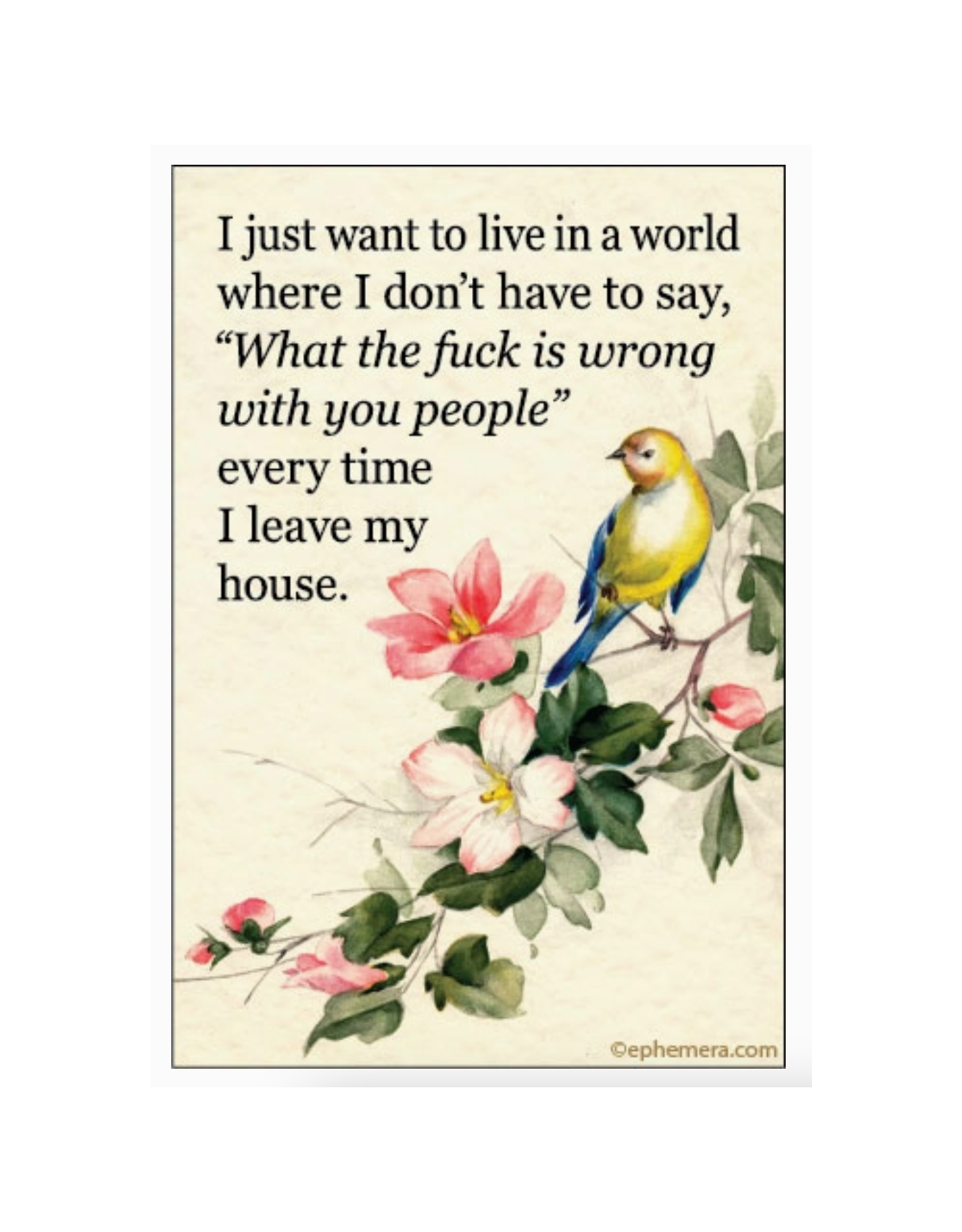 I Just Want to Live in A World...What the Fuck is Wrong Magnet