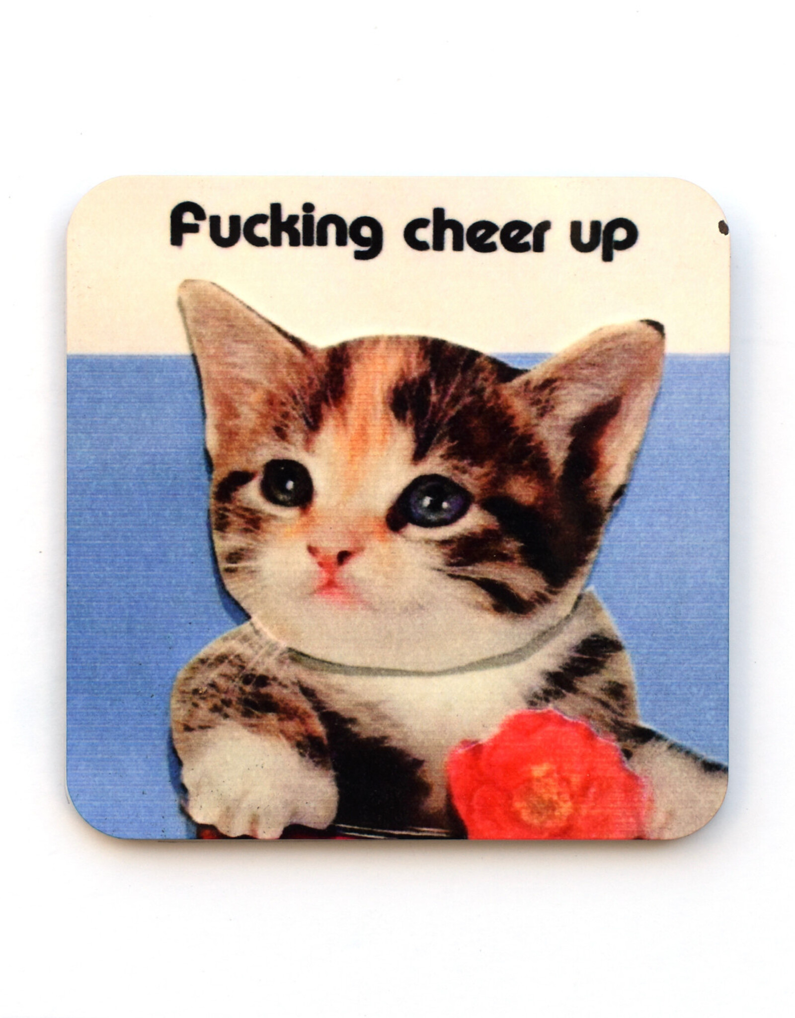 Fucking Cheer Up Cat Coaster