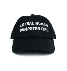 100% Soft Literal Human Dumpster Fire Dad Hat