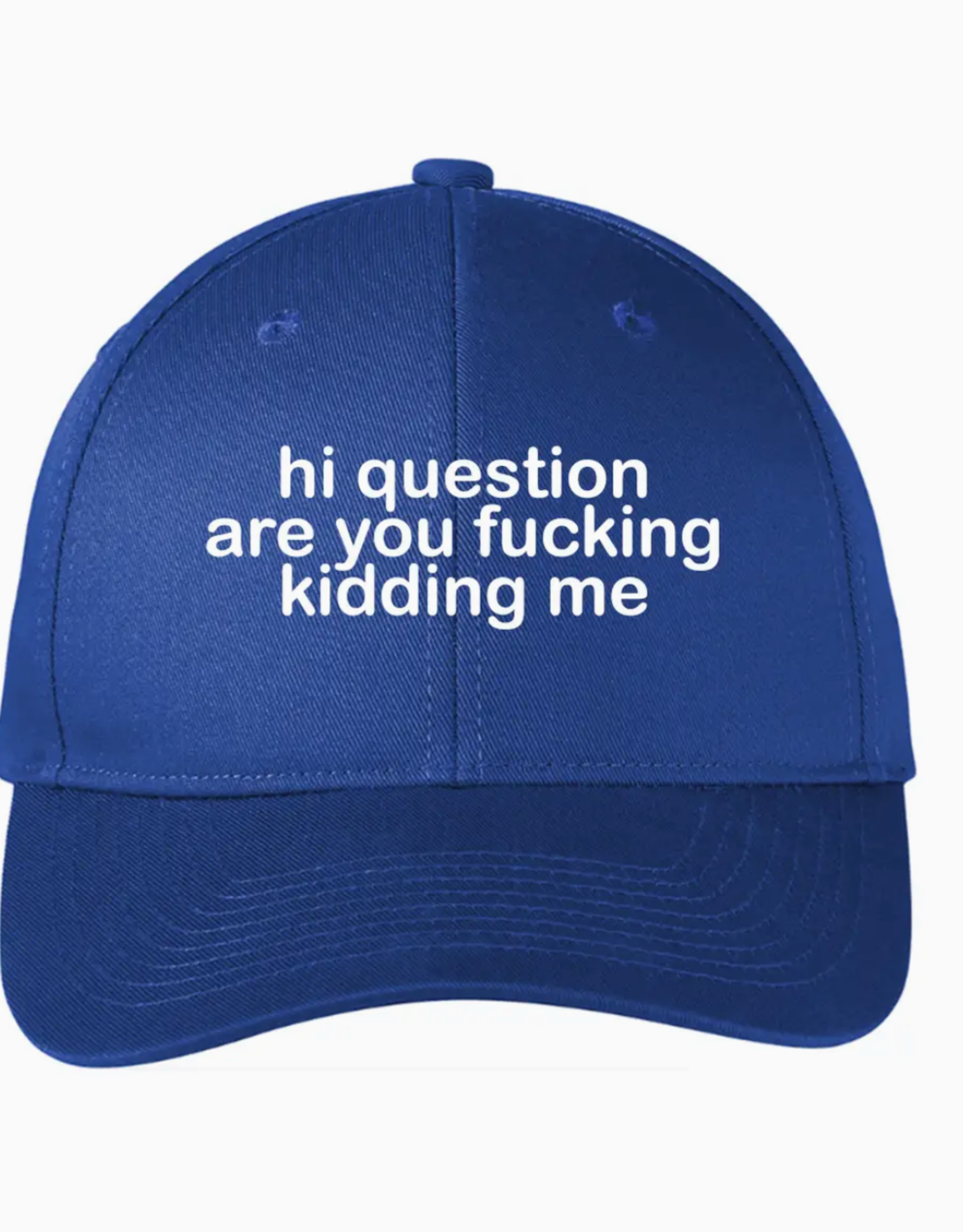 Hi Question. Are You Fucking Kidding Me? Hat