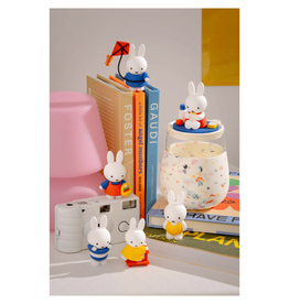 Miffy Goes Outside Blind Box