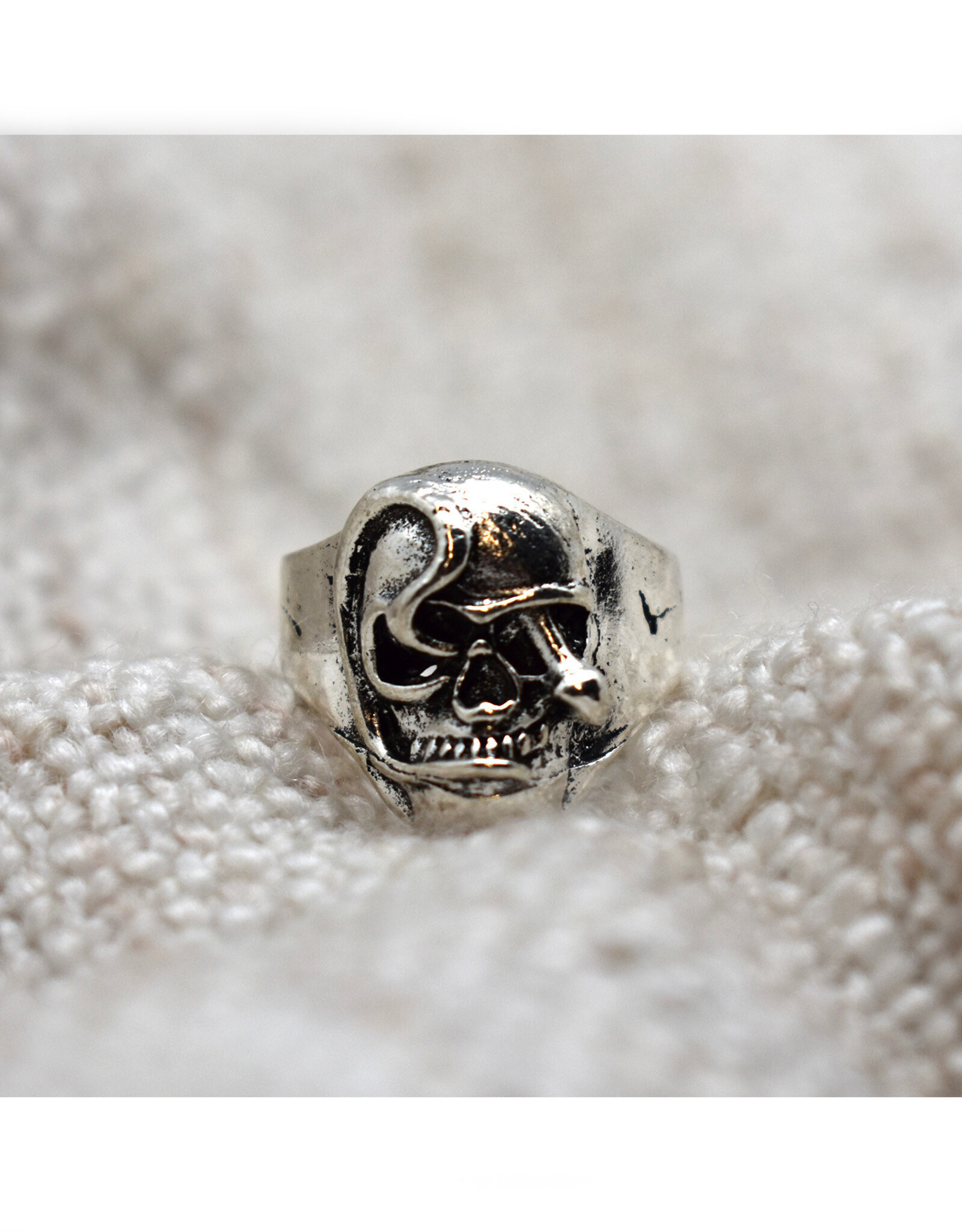 Silver Skull and Snake Ring