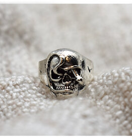 Silver Skull and Snake Ring