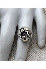Silver Skull and Snake Ring