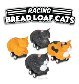 Racing Loaf Cat