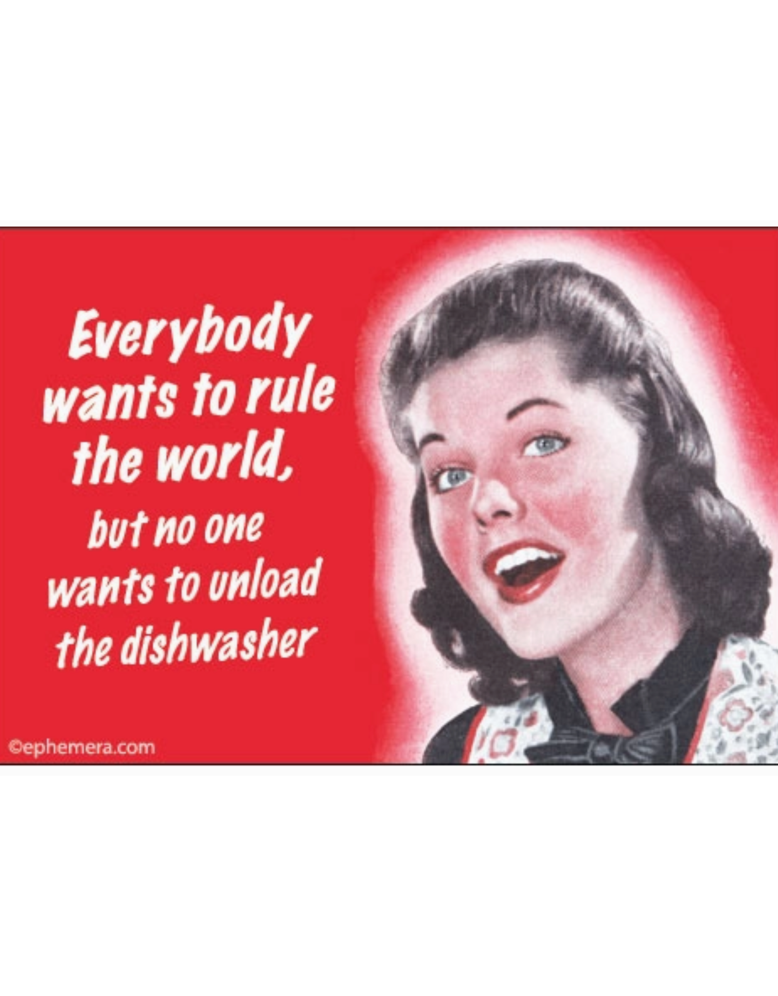 Rule the World, Unload the Dishwasher Magnet
