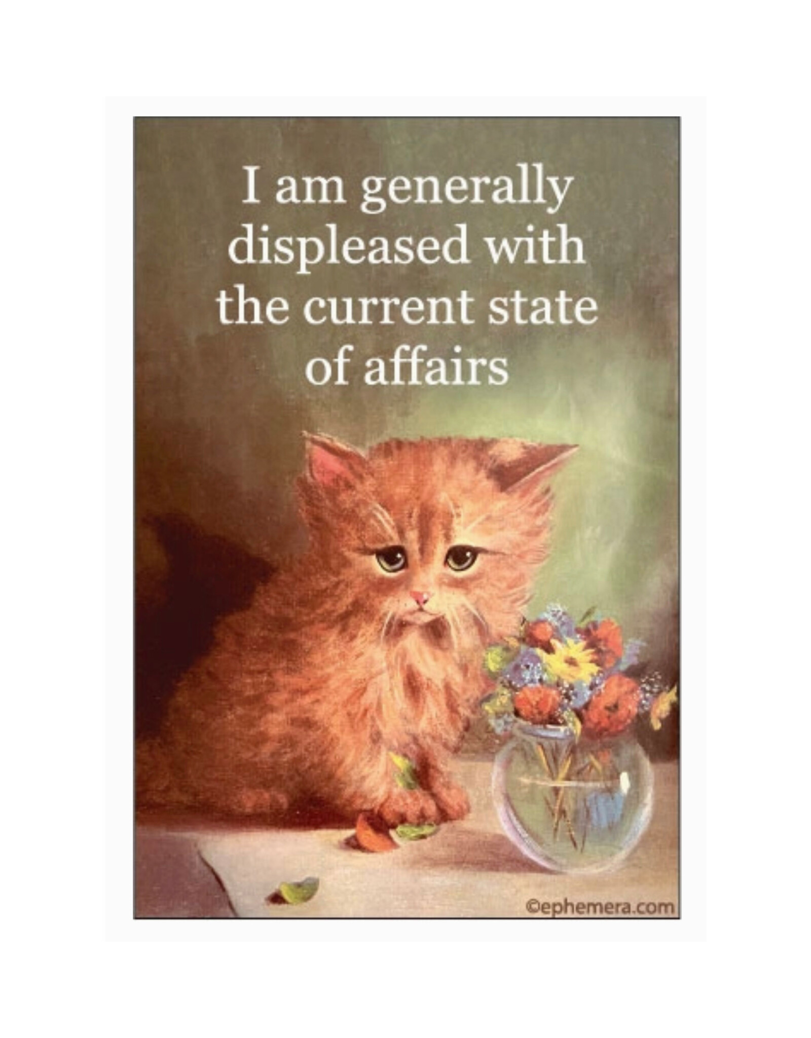 Generally Displeased With the Current State of Affairs Magnet