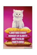 Brief Moment of Clarity Magnet