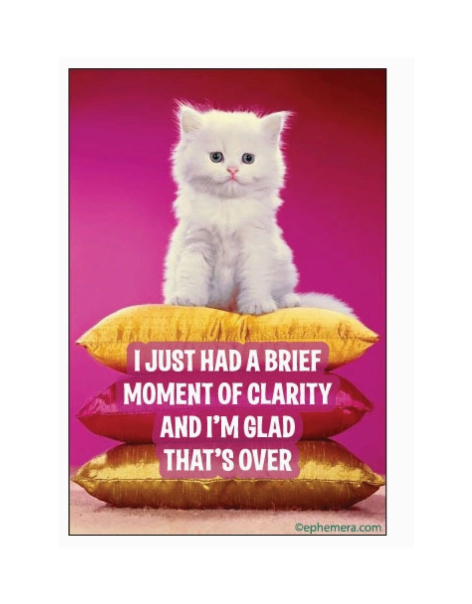 Brief Moment of Clarity Magnet