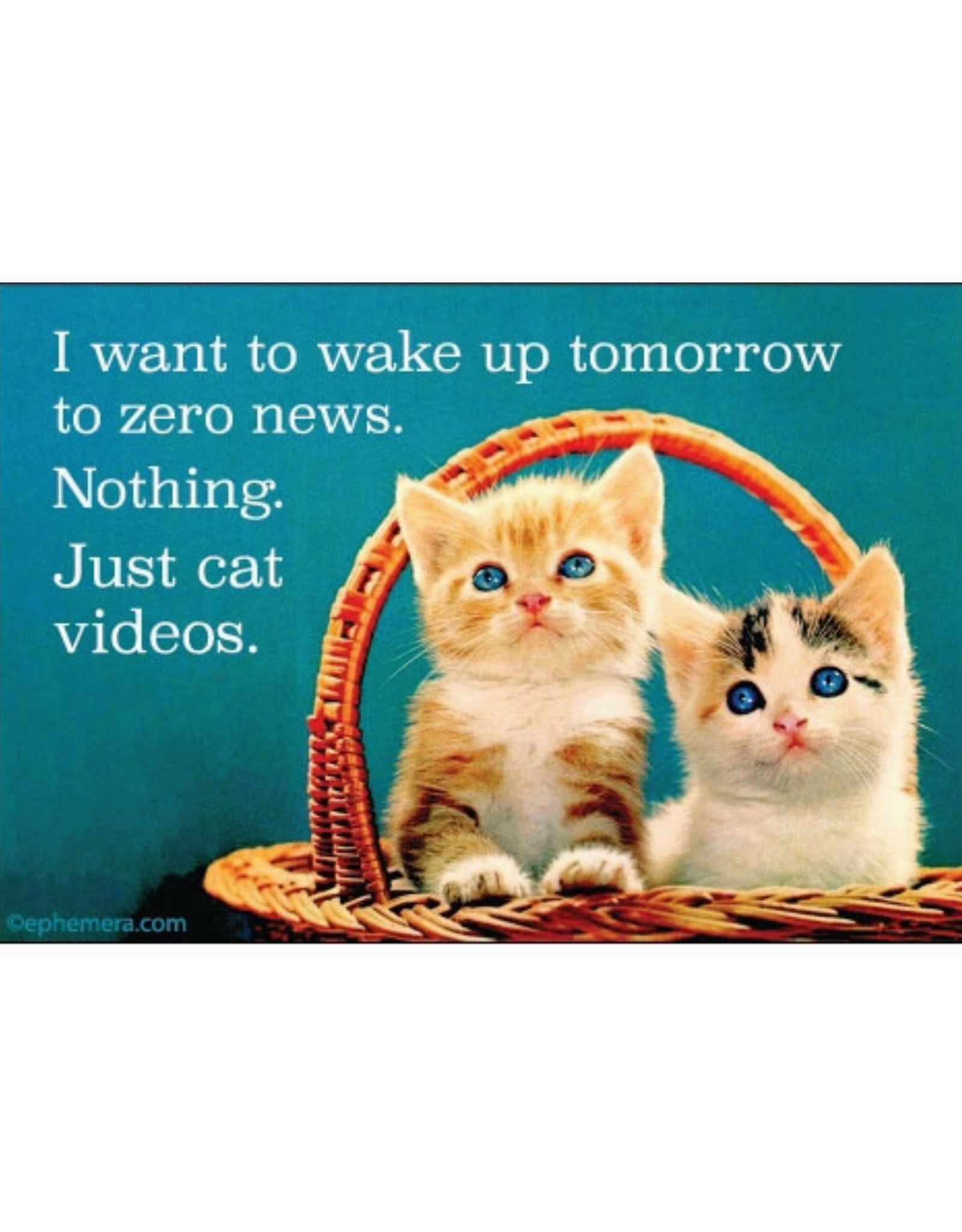 Zero News, Just Cat Videos Magnet