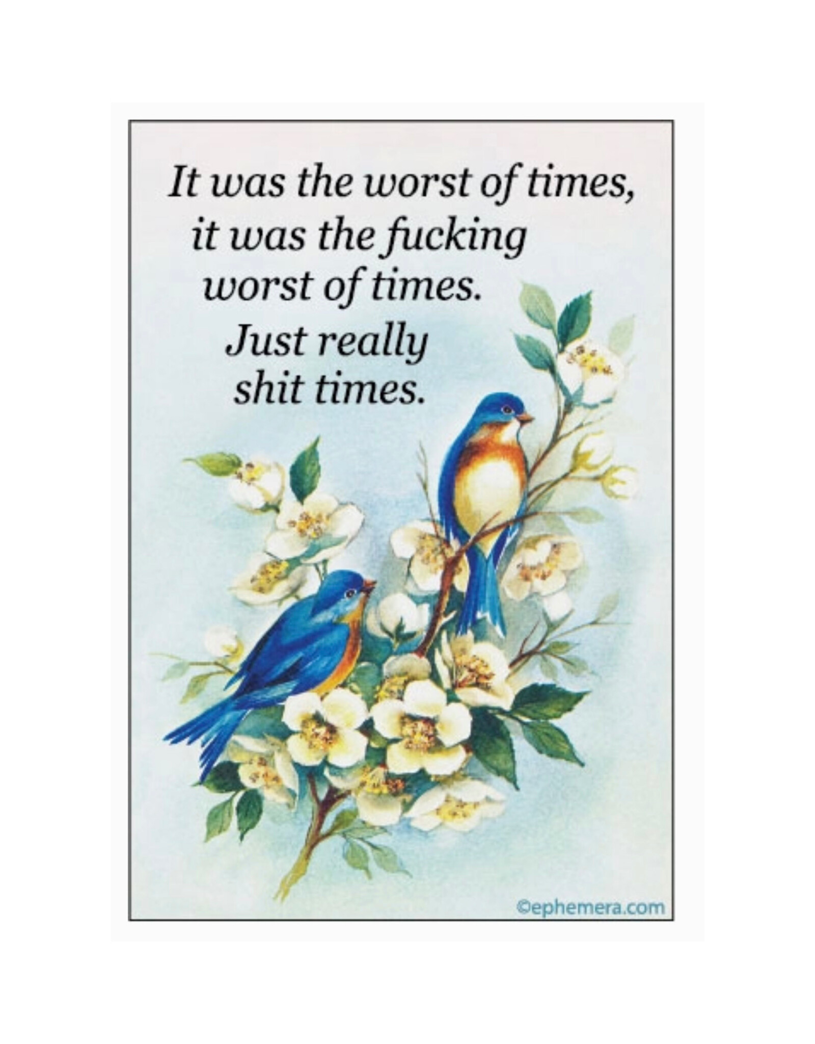 It Was the Worst of Times (Birds) Magnet