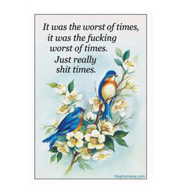 It Was the Worst of Times (Birds) Magnet
