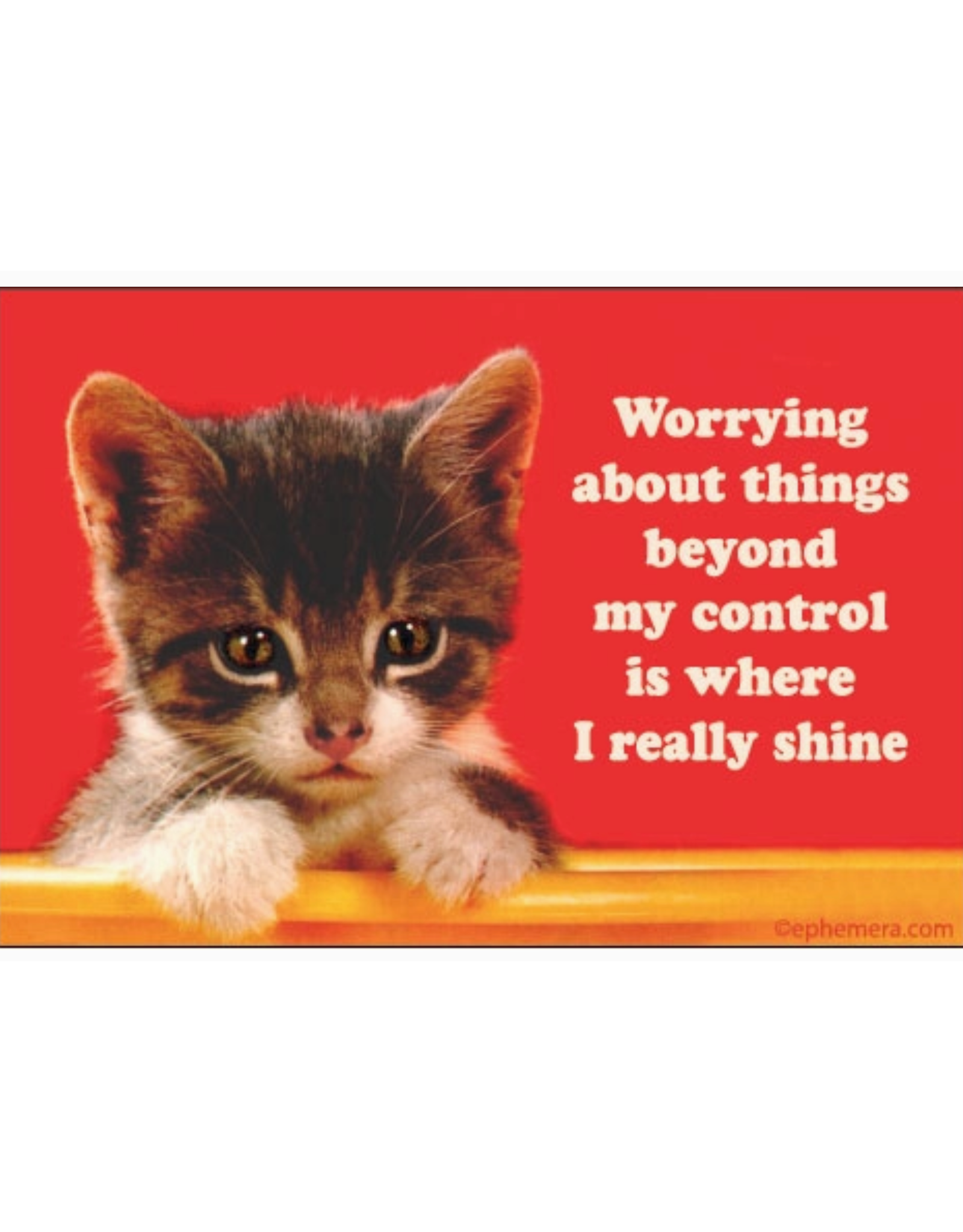 Worrying About Things Beyond My Control Magnet