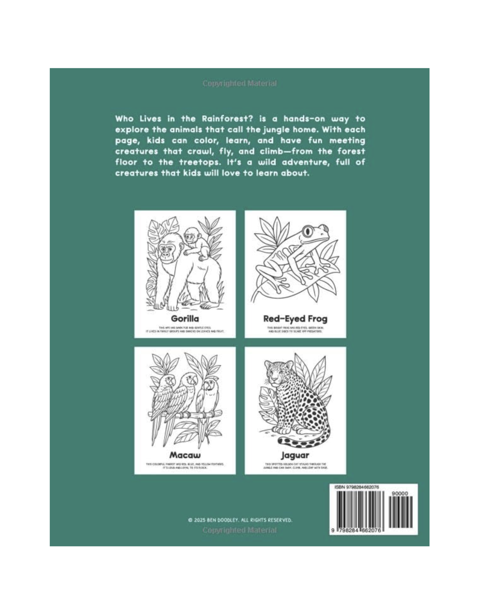 Who Lives in the Rainforest Coloring Book*