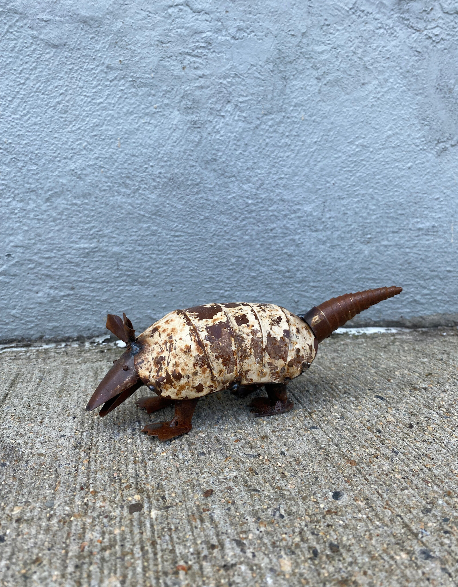 Frank the Rusty Armadillo