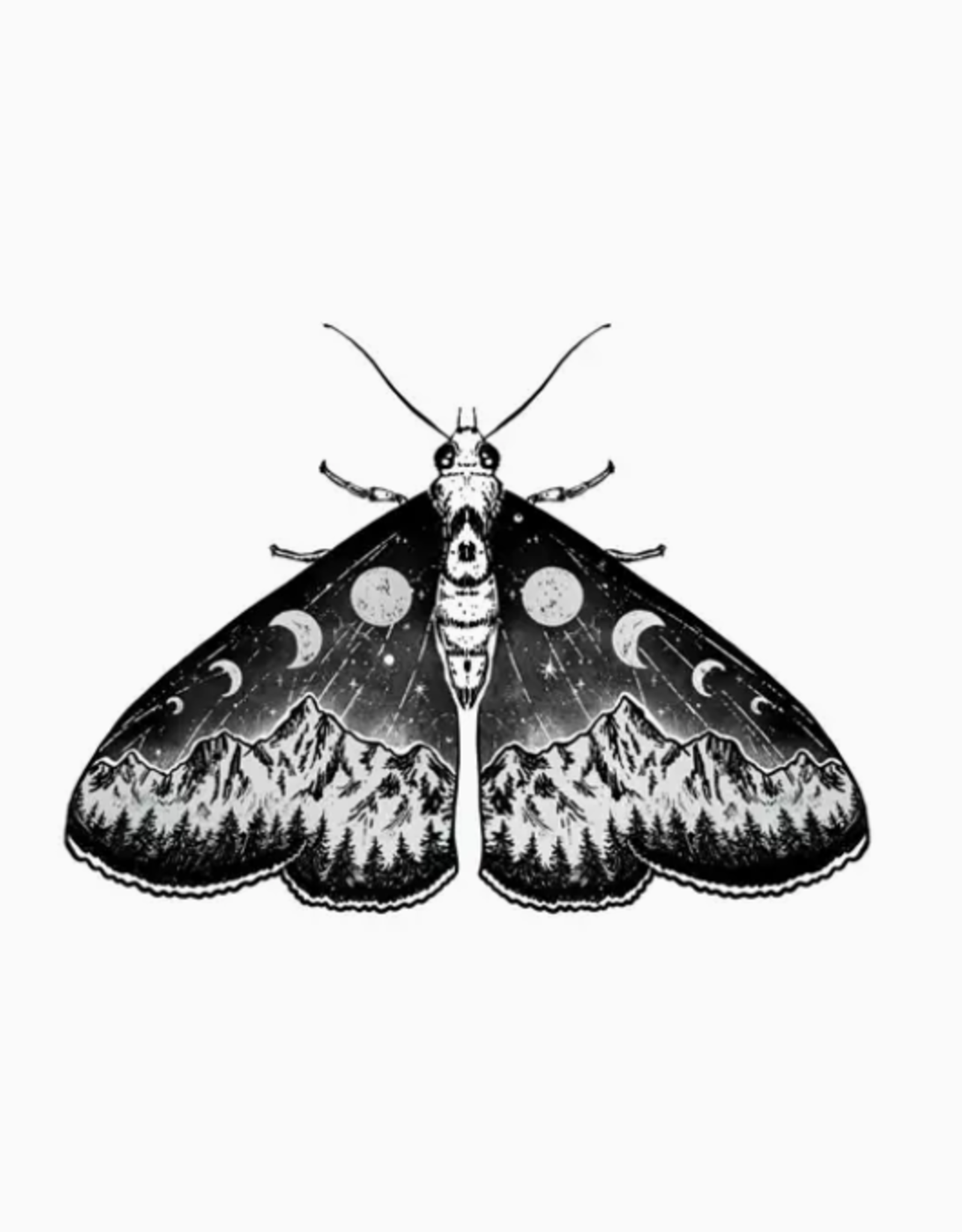 Mystic Moth Tattoo Pair