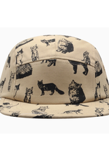 Cotton 5 Panel Hat - Khaki Cats