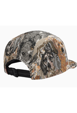 Jacquard 5 Panel Hat - Beige Dogs