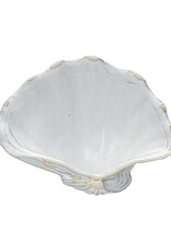 Stoneware White Shell Shaped Dish