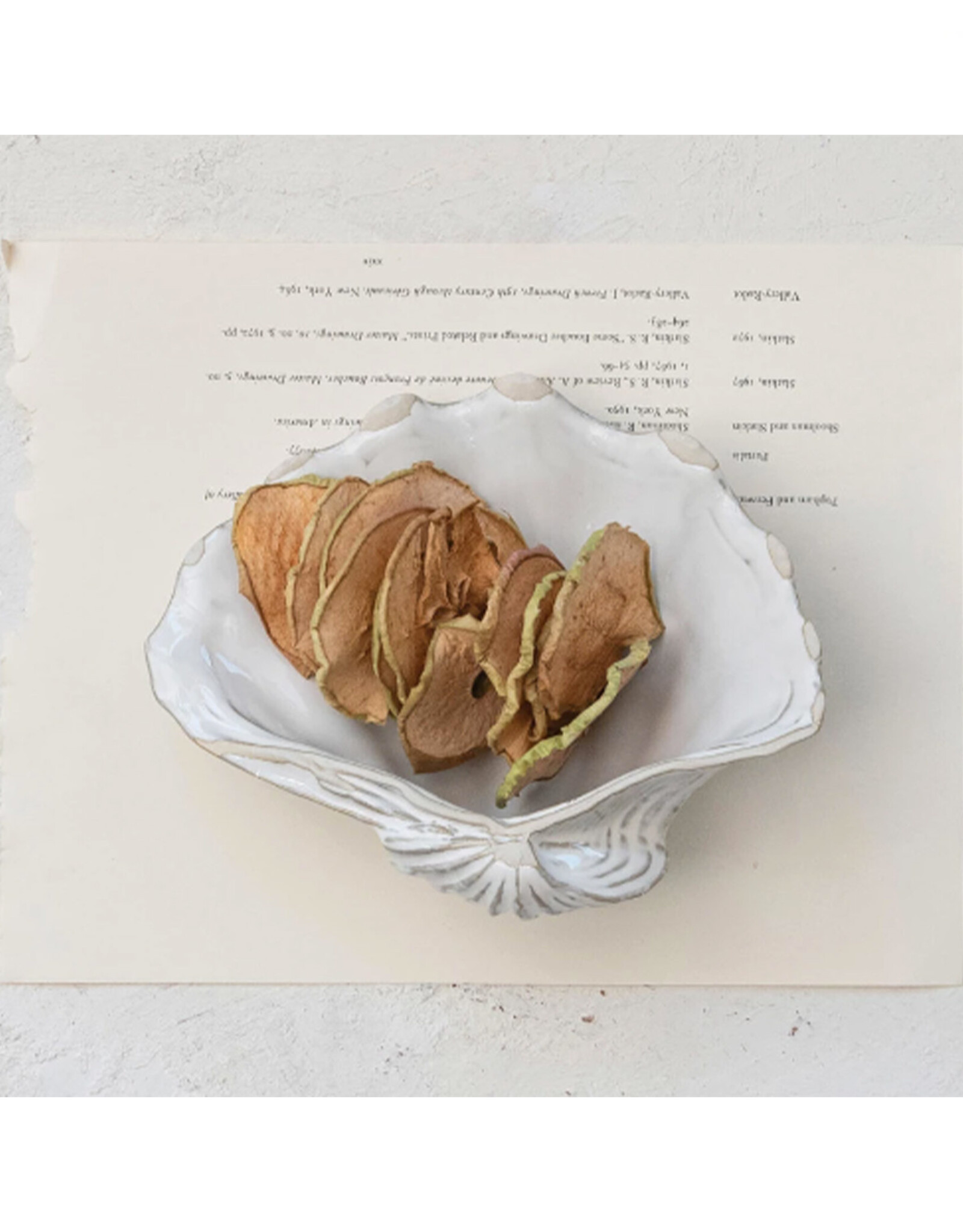 Stoneware White Shell Shaped Dish