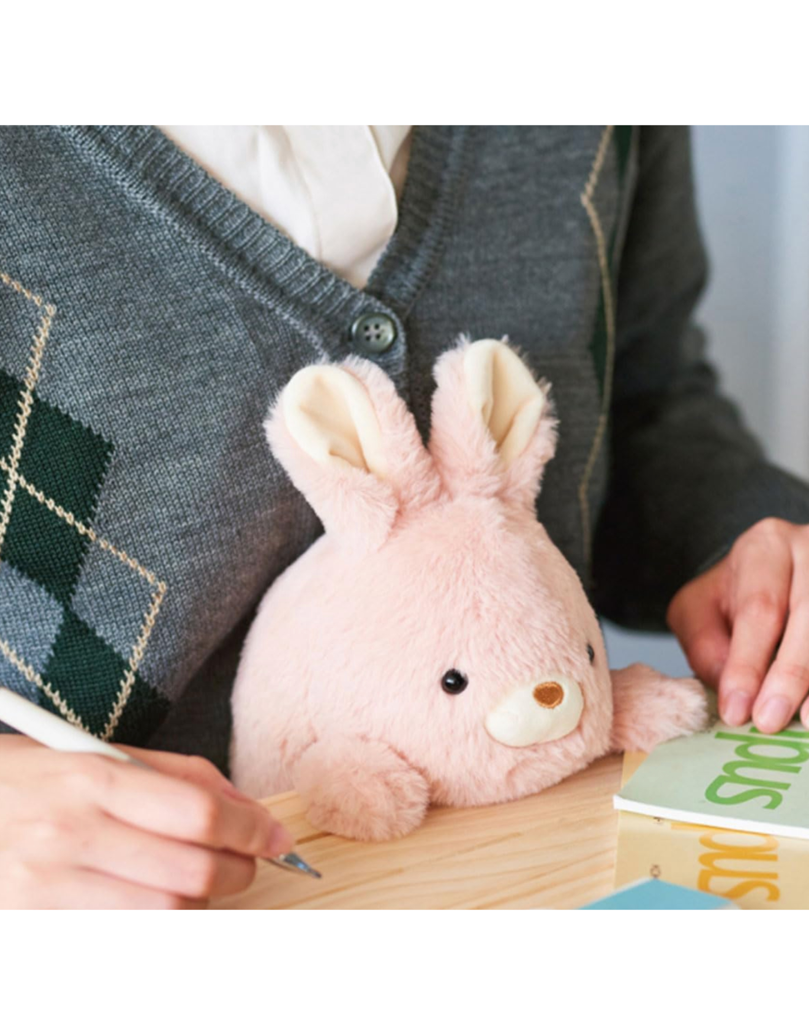 Posture Pal - Rabbit