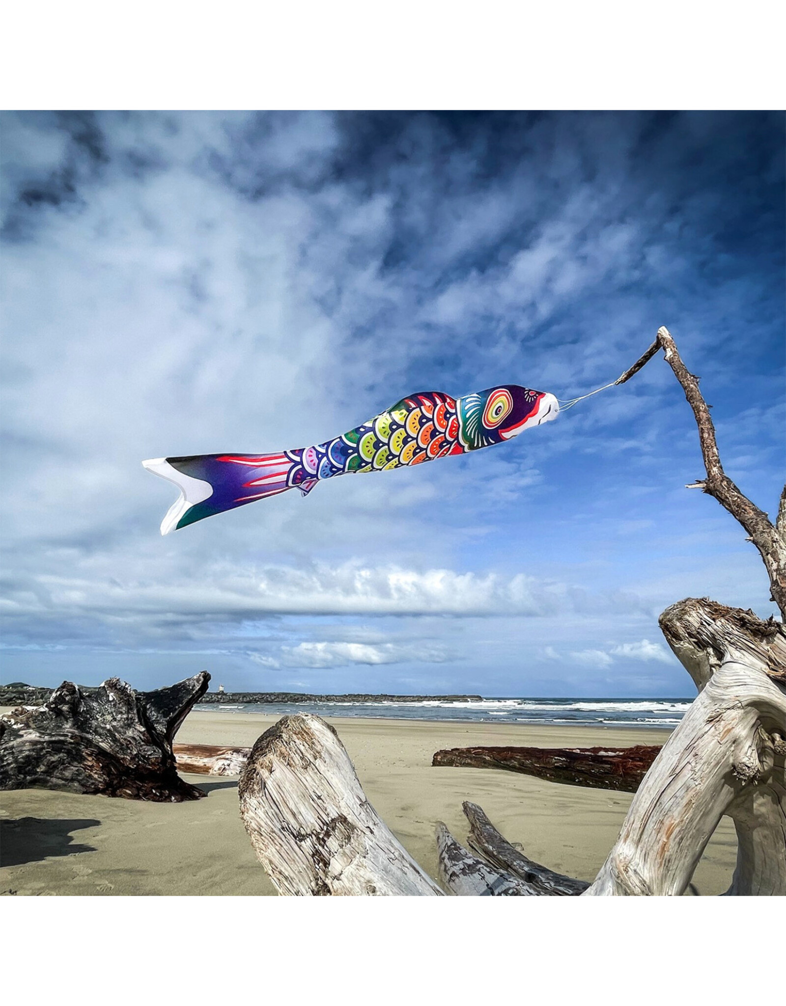 Windsock - 5' Spectrum Koi