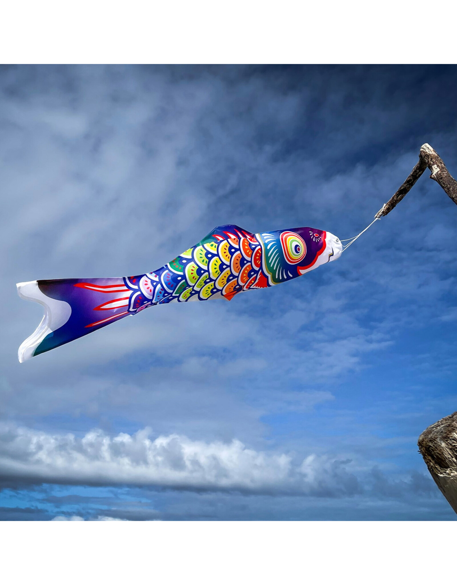 Windsock - 3' Spectrum Koi