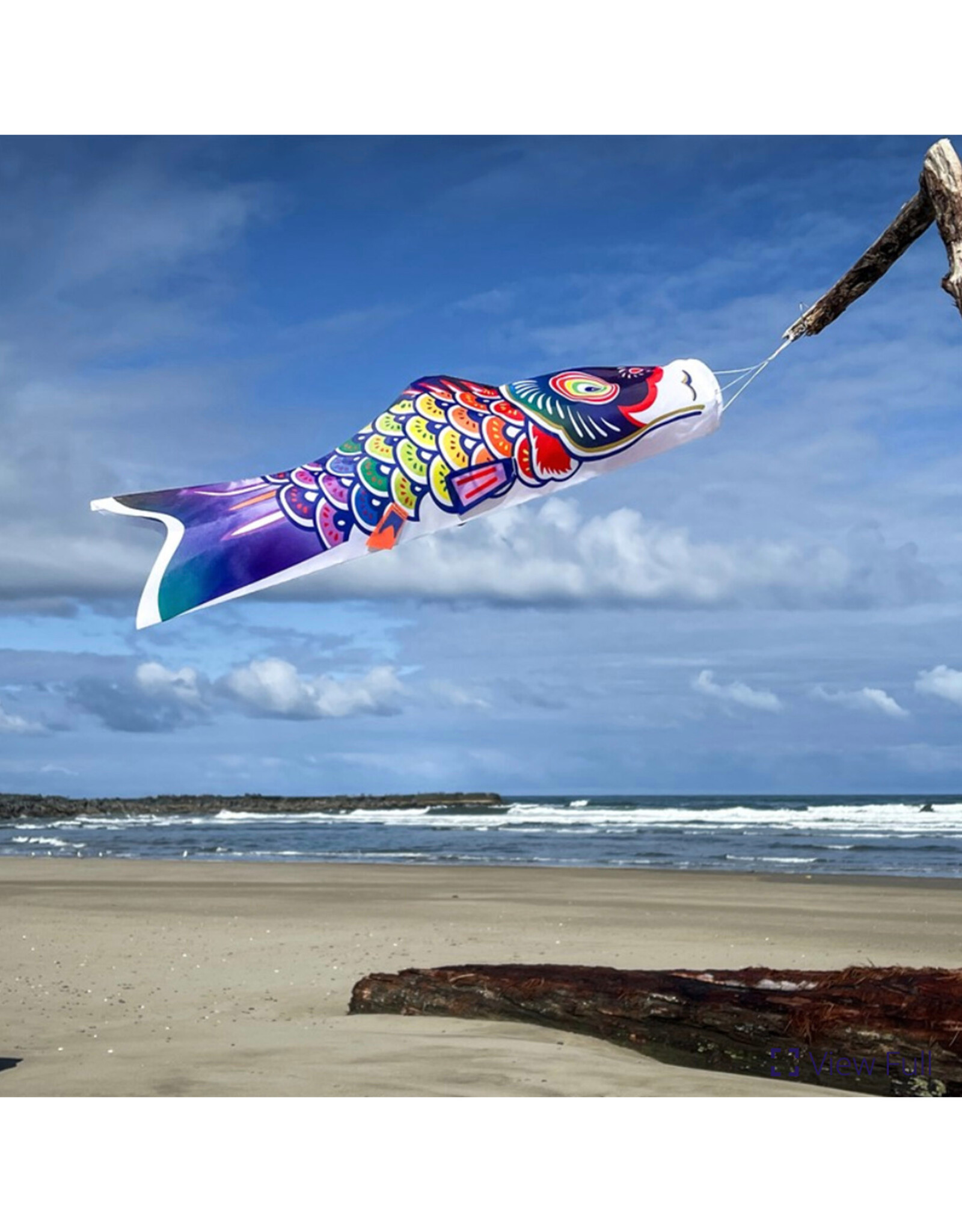Windsock - 2' Spectrum Koi