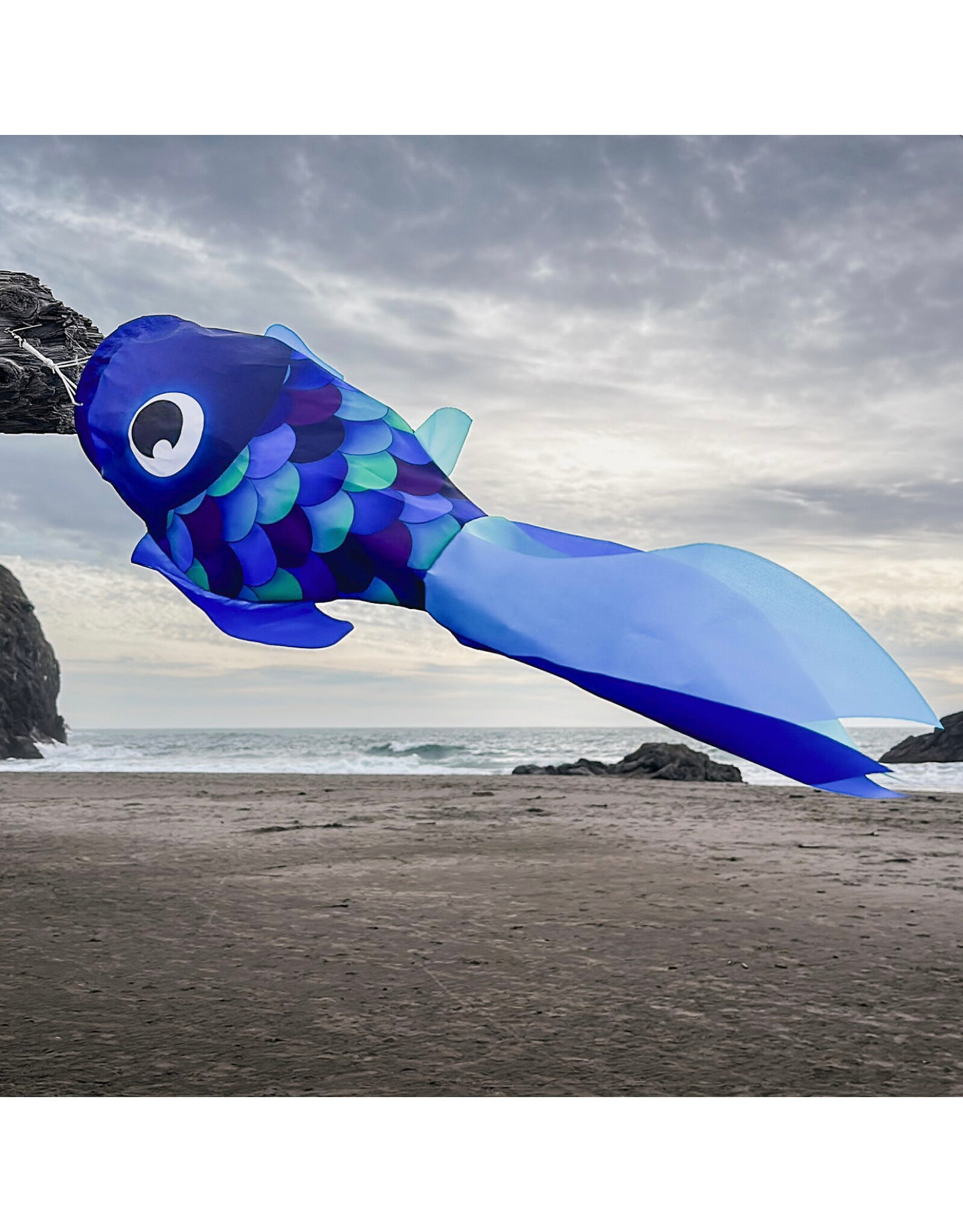 Windsock - 30" Cool Damsel Fish