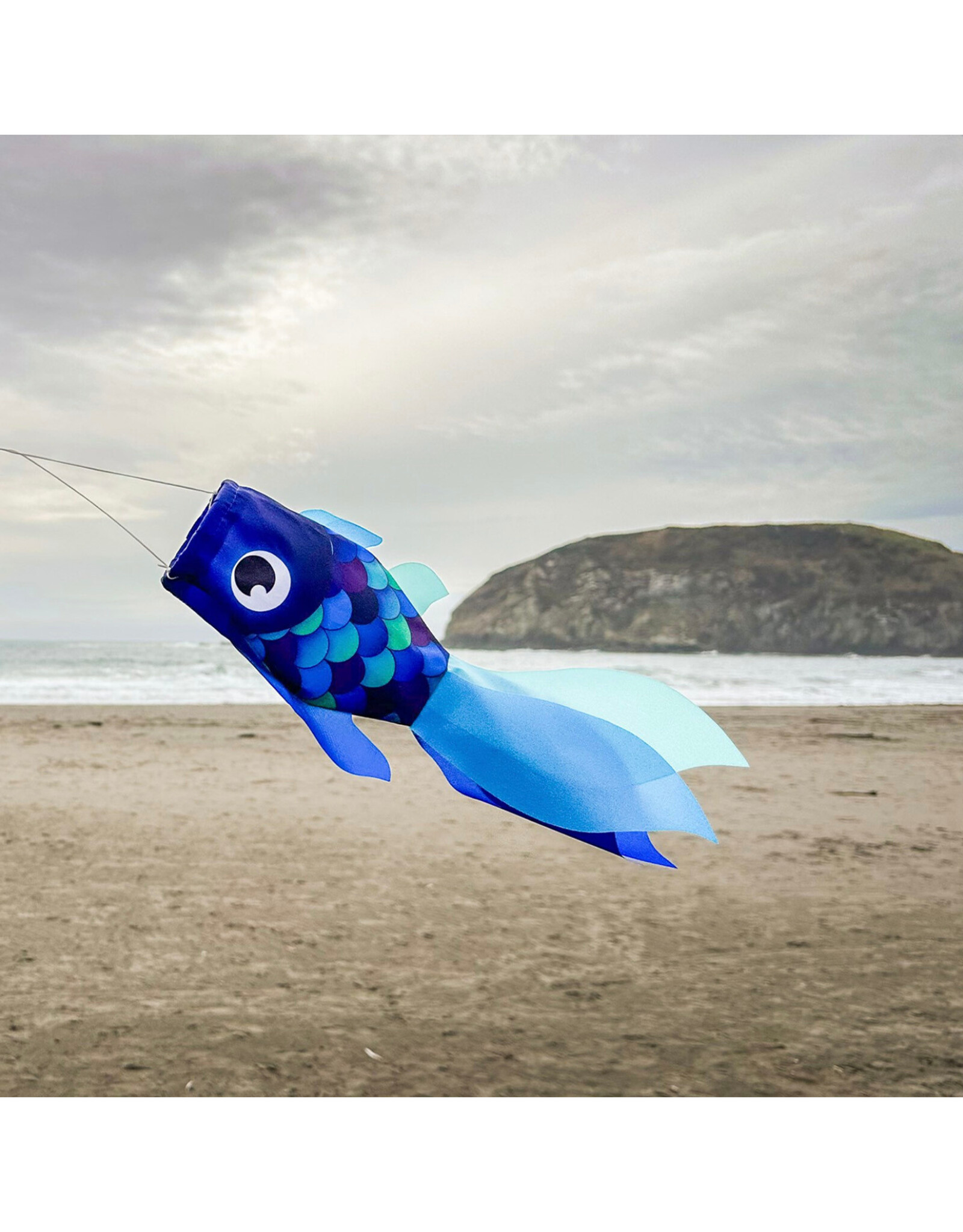 Windsock - 15" Cool Damsel Fish