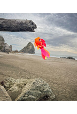 Windsock - 15" Hot Damsel Fish