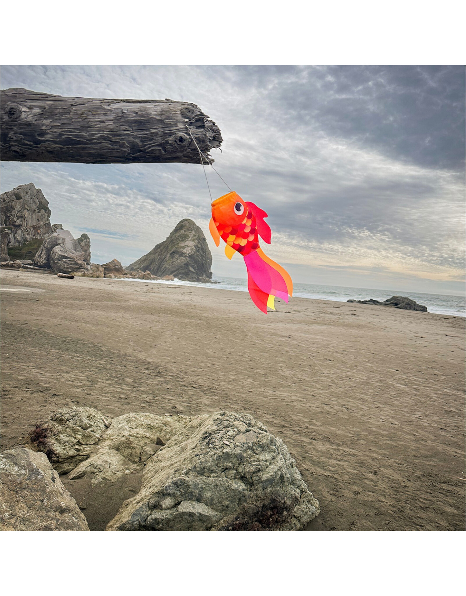 Windsock - 15" Hot Damsel Fish