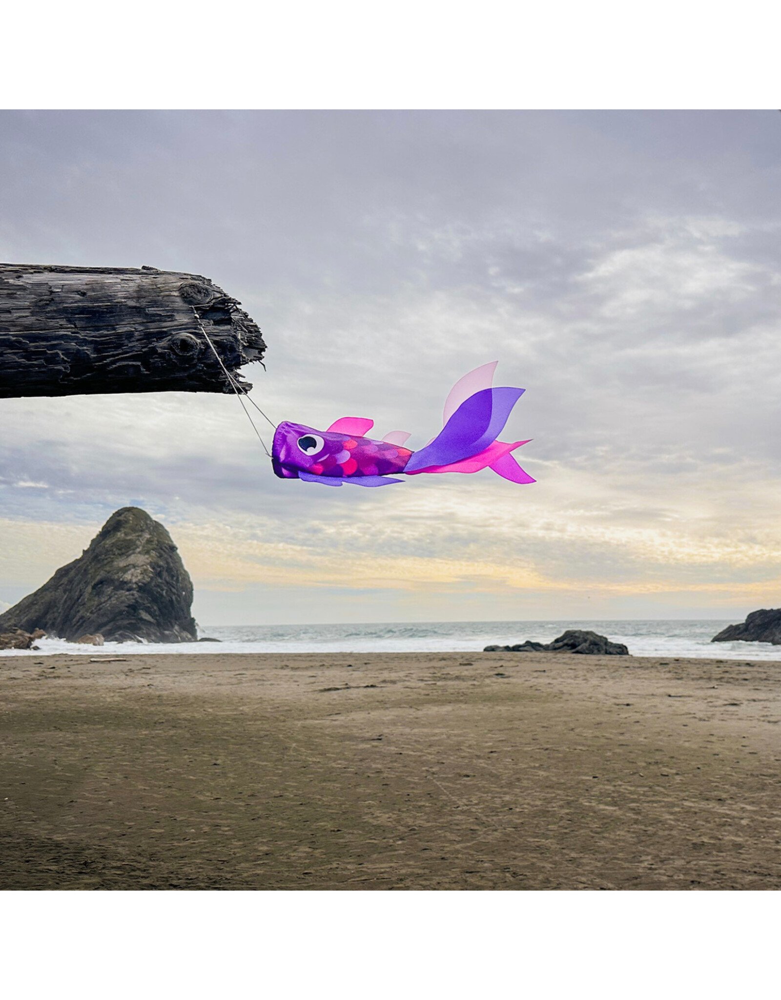 Windsock - 15" Lavender Damsel Fish