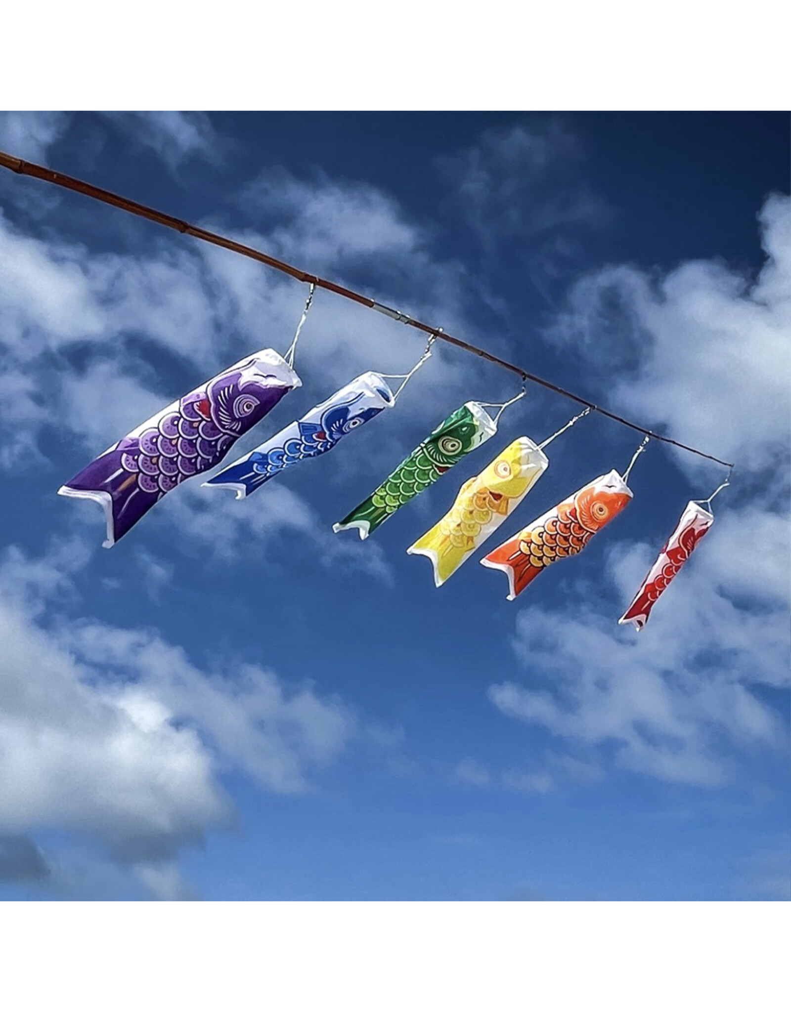 Windsock - 12" Koi Fish