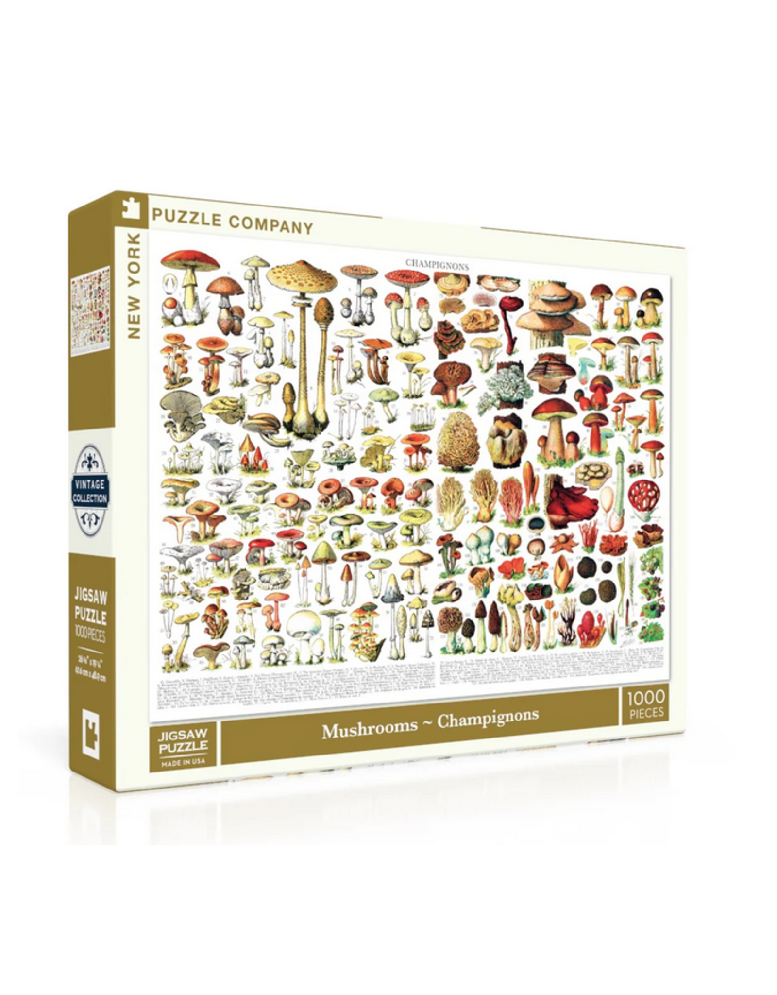 Mushrooms - 1000 Piece Puzzle