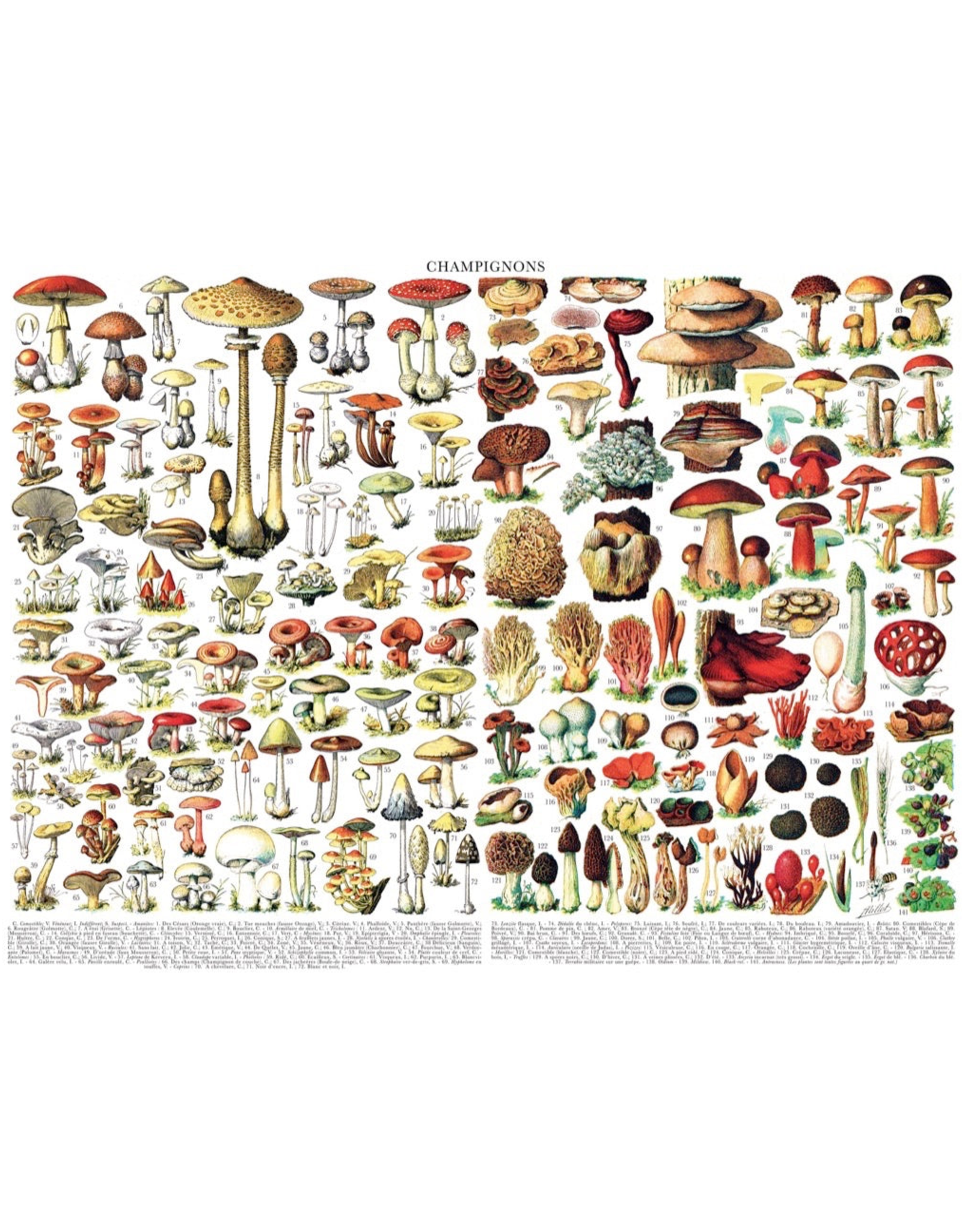 Mushrooms - 1000 Piece Puzzle