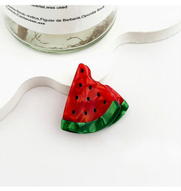 Mini Watermelon Claw Clip