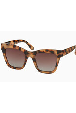 Sasha Sunglasses